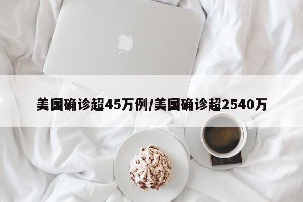 美国确诊超45万例/美国确诊超2540万