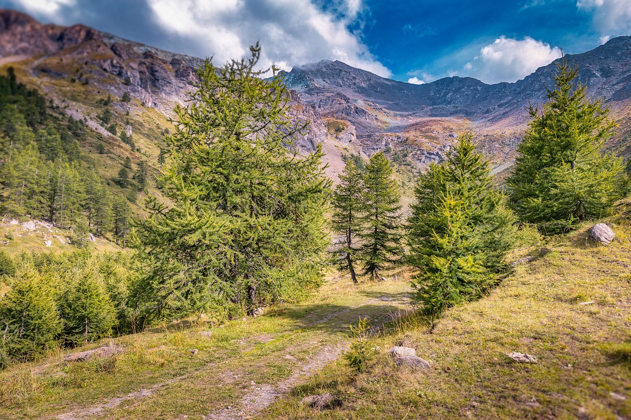 安徽黄山之旅，摄影大展的视觉盛宴