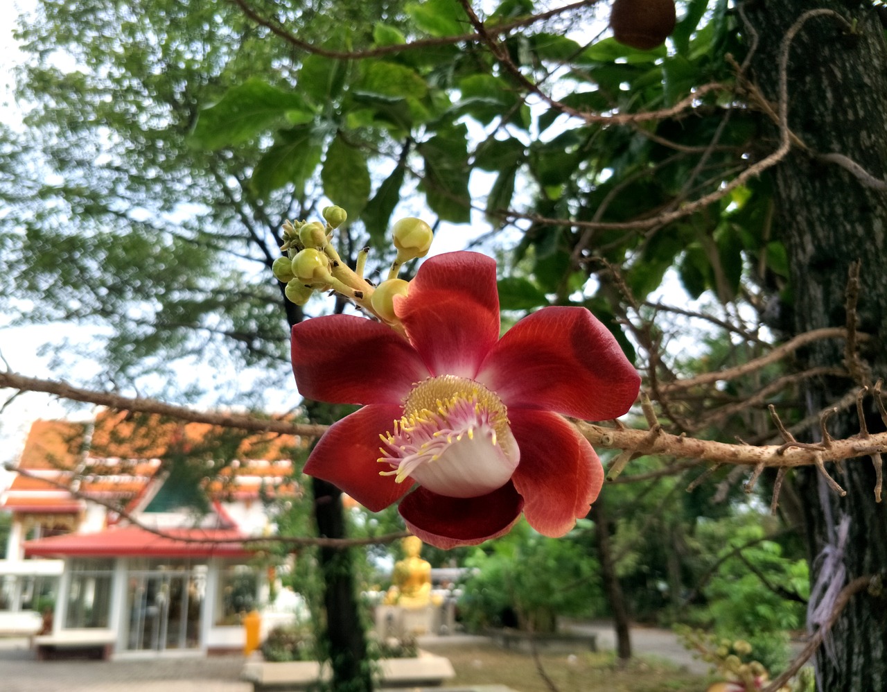 耐用的鲜花库维修策略与实践